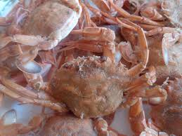 Alimentacion, reproduccion y mucho mas. Cangrejos De Mar Cocidos Mi Cocina
