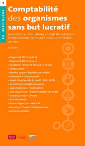 Comptabilite Des Organismes Sans But Lucratif Collain Pillon Sage 9782247197156 Lgdj Fr