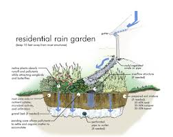 What Is A Rain Garden City Of Vienna Wv Rain Garden Design Rain Garden Plants