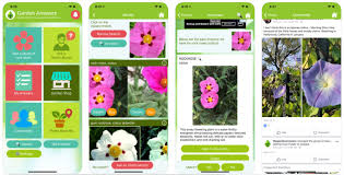 Picturethis — plant identification — an indispensable travel guide suitable for the whole family. Know The Nature More Closely And Deeply With Plant Identification Apps