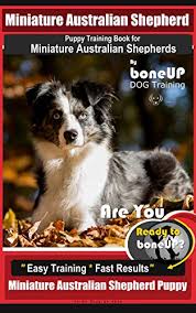 Australian shepherds were first used for herding. Mini Australian Shepherd Puppy Training Book For Miniature Australian Shepherds By Boneup Dog Training Are You Ready To Bone Up Easy Training Fast Australian Shepherd Puppy English Edition Ebook