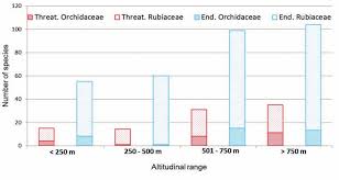 Image result for Ancistrorhynchus tenuicaulis