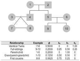 Under california labor code section 233, the kin in kin care can be a child, parent, spouse, registered domestic partner, grandparent, grandchild, or sibling. Frontiers Kinship Determination In Archeological Contexts Through Dna Analysis Ecology And Evolution