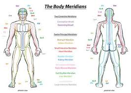 Anatomical charts offer a wide range of reference points for specialists, from physical therapists to ophthalmologists. Meridian System Description Chart Male Body Stock Vectors And Illustrations