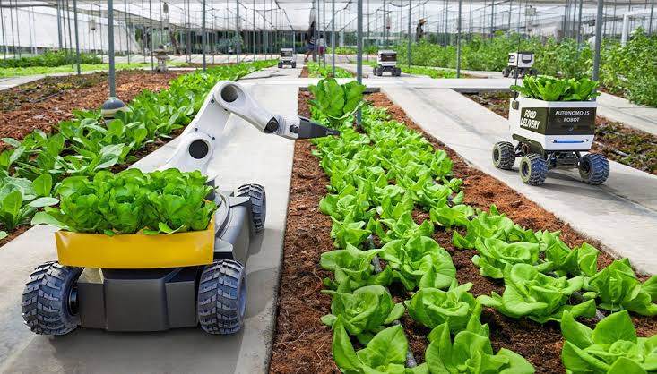 Miniaturized AgBots execute highly precise, automated weed control without soil compaction, AI generated