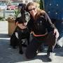 Profile Picture of About Tracy Weber - Peaceful Pups Dog Training (@peacefulpups.net) on Google