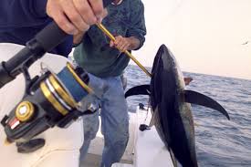 Offshore Trolling With Spinning Reels And Braided Line Fishtalk Magazine