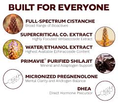 Image result for Cistanche