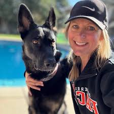 Why is my German Shepherd holding his tail in a weird position?