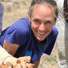 University of Toronto Press