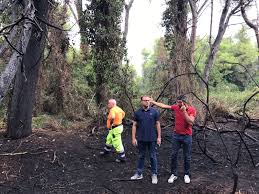 Funambollika, festival internazionale del nuovo circo organizzato e promosso dall'ente. Incendio Pineta Dannunziana Pescara Forse Lanterne Volanti La Causa Bruciati 10 Alberi Foto Abr24 News