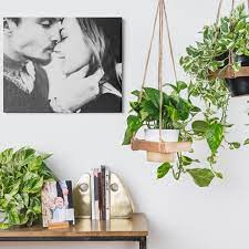 Indoor hanging plant pots are a great way to bring the outside in and display houseplants in every room, even where space is limited. 27 Best Wall Hanging Planters For Indoors Outdoors 2021