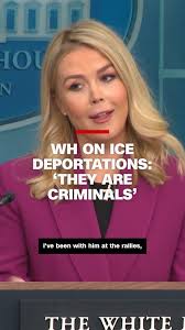 White House press secretary Karoline Leavitt answered questions about ICE  deportations during the first press briefing of President Trump's second  term.