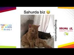 Cagri Taner En Komik Ve En Yeni Vine Instagram Videolari Youtube Komik Komik Hikayeler Komik Seyler