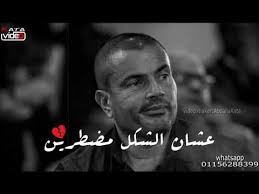 حالات واتس عمرو دياب حبايب اية حبايب مين Youtube