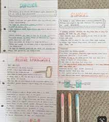 This is the best way in making sure the information goes into your long term memory. How To Revise Gcse Biology And Get Grade 9 The Exam Coach