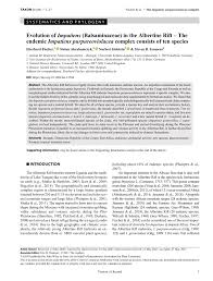 Image result for Impatiens psychadelphoides