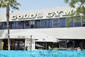 gold s gym venice beach where the