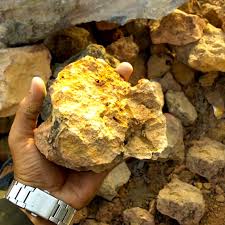 Search and compare icemobile rock at ...
