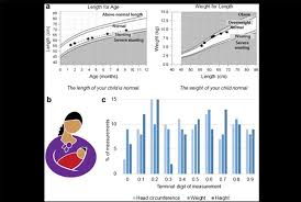 Nidi Study Documents A An Example Of The Growth Charts