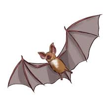 Pin Auf Halloween