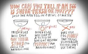 How To Tell If Your Expired Eggs Are