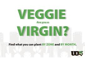Veggie Virgin Vegetable Planting Guide Calendar By Zone And