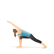 Revolved Side Angle Pose