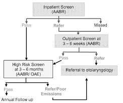 We did not find results for: Hearing Screening Protocol For Infants With Ds Download Scientific Diagram