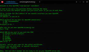On the general tab, ipv4 must be enabled: Cara Membuat Vpn Server Openvpn Sendiri Niagahoster Blog