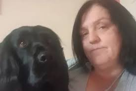 Tunbridge Wells mum outraged after neighbour leaves 'non-stop barking'  chihuahua home alone all weekend