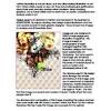 This is a criteria break down of the structure of the paper. 1