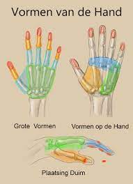U definieert de pennen die u wilt. Realistische Handen Leren Tekenen