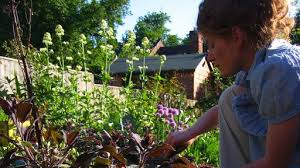 Bbc Bbc Two Programmes The Edible Garden Edible Garden Beautiful Gardens Garden