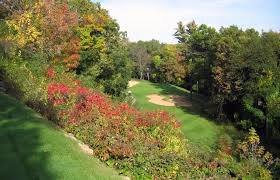 Image result for Lawsonia