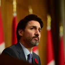 No budget yet for Trudeau's pledge to plant two billion more trees by 2030 