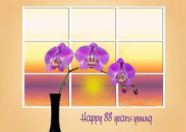 88th Birthday Pink Orchids In Black Vase With Sunrise Window Card Ad Sponsored Pink Orchids Birthday Black Window Cards 89th Birthday 41st Birthday