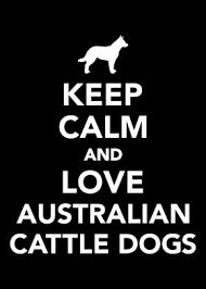 Check spelling or type a new query. Australian Cattle Dog Posters Art Prints Wall Art Displate