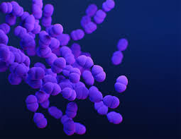 Antibiotic Resistance The Hidden Threat Lurking Behind Covid 19 Stat