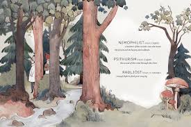 Is that scenery is view, natural features, landscape while nemophilist is (rare) one who is fond of forests or forest scenery; Amazon Com Other Wordly Words Both Strange And Lovely From Around The World Book Lover Gifts Illustrated Untranslatable Word Book 9781452125343 Mak Yee Lum Garrity Riley Kelsey Books