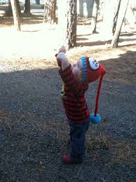 Bird In Sign Language Baby Signing Bird Outside Adventures Are So Much Fun When Your Little One Can Show You What They See Aslbird Bab Baby Sign Language Baby Signs Sign Language