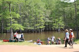 At caddo lake state park, you can fish, paddle, hike, picnic, camp or stay in a cabin, look for a geocache, and go boating. Rv Parks Campgrounds Caddo Lake Backwater Jacks