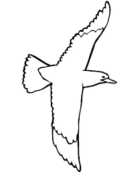 You can print or color them online at getdrawings.com for absolutely free. Swallow Tailed Seagull Coloring Page Kids Play Color