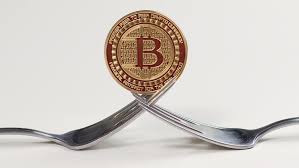 Bitcoin price reached ath $50,000. Bitcoin Gold Forked Monday At 19 39 Utc And Right From The Start There Were Some Issues Here S How To Profit From Post Fork Swing T Bitcoin Price Mlm Bitcoin