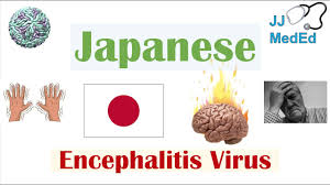 We did not find results for: Cual Es Encefalitis Japonesa