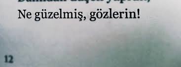 Ne Guzelmis Gozlerin Ozlu Sozler Kitap Alintilari Alinti Sozler