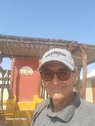 Me interesa conocer más del tema y saber si realmente quedan bien las  construcciones o son solo una curiosidad