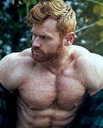 Pin By Chan Zavier Franbvldier On Bo Velu Ginger Men Hot Ginger Men Red Beard