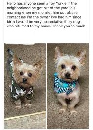 Owner Found!!! Found dog. Just called the shelter to come pick him up.  Message me if he's your.