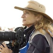 Season 2 — Because of Horses